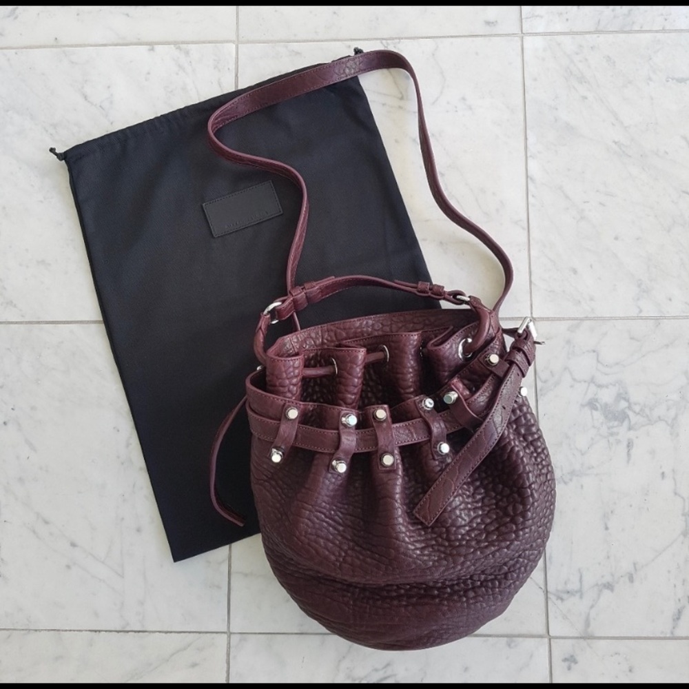 EUC Alexander Wang Small Diego Bucket Bag
